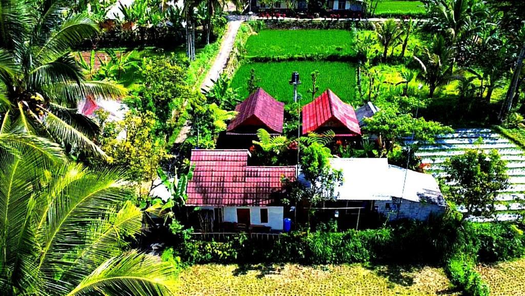 Ariel Bungalow Tetebatu Esterno foto