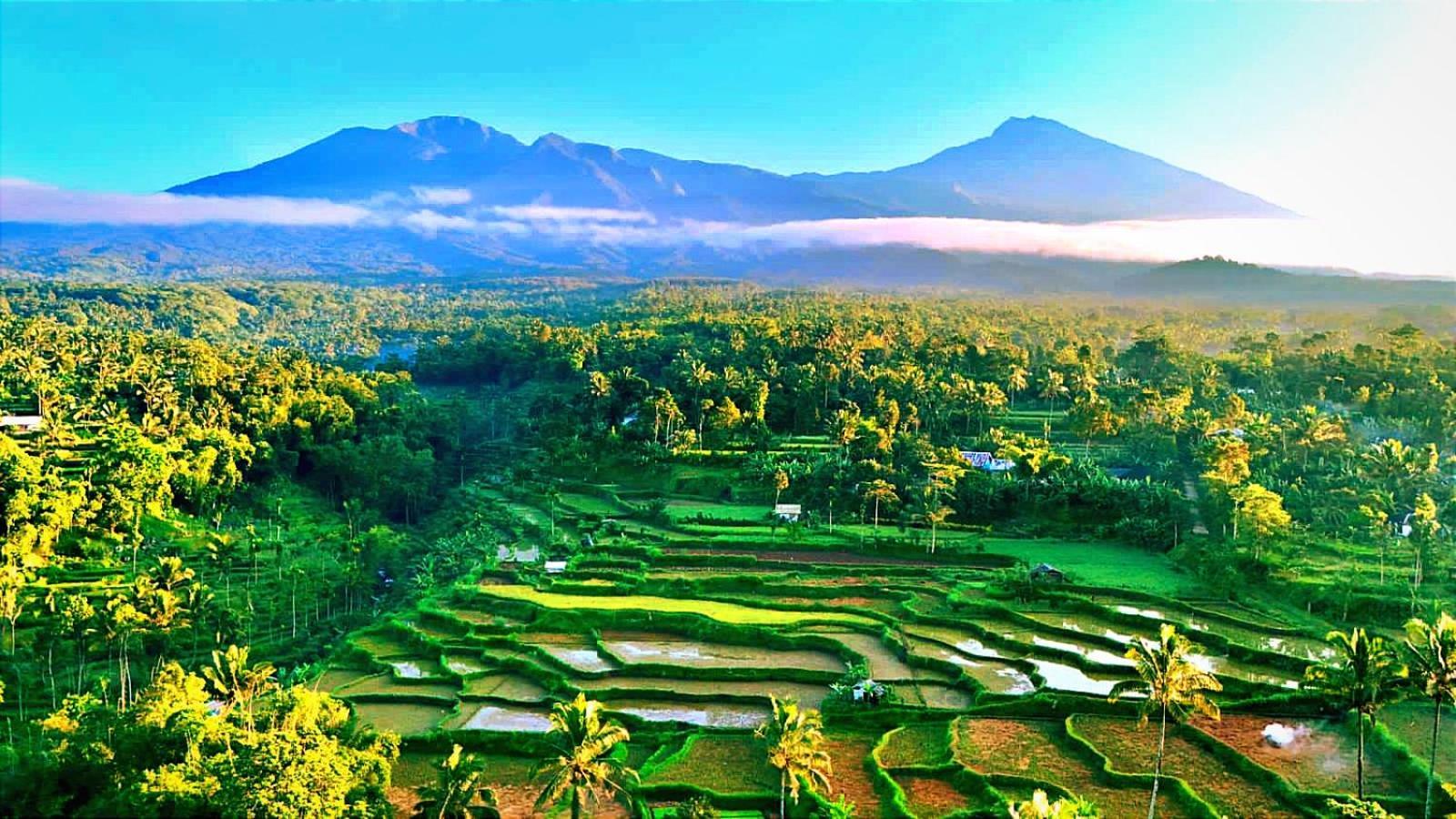 Ariel Bungalow Tetebatu Esterno foto