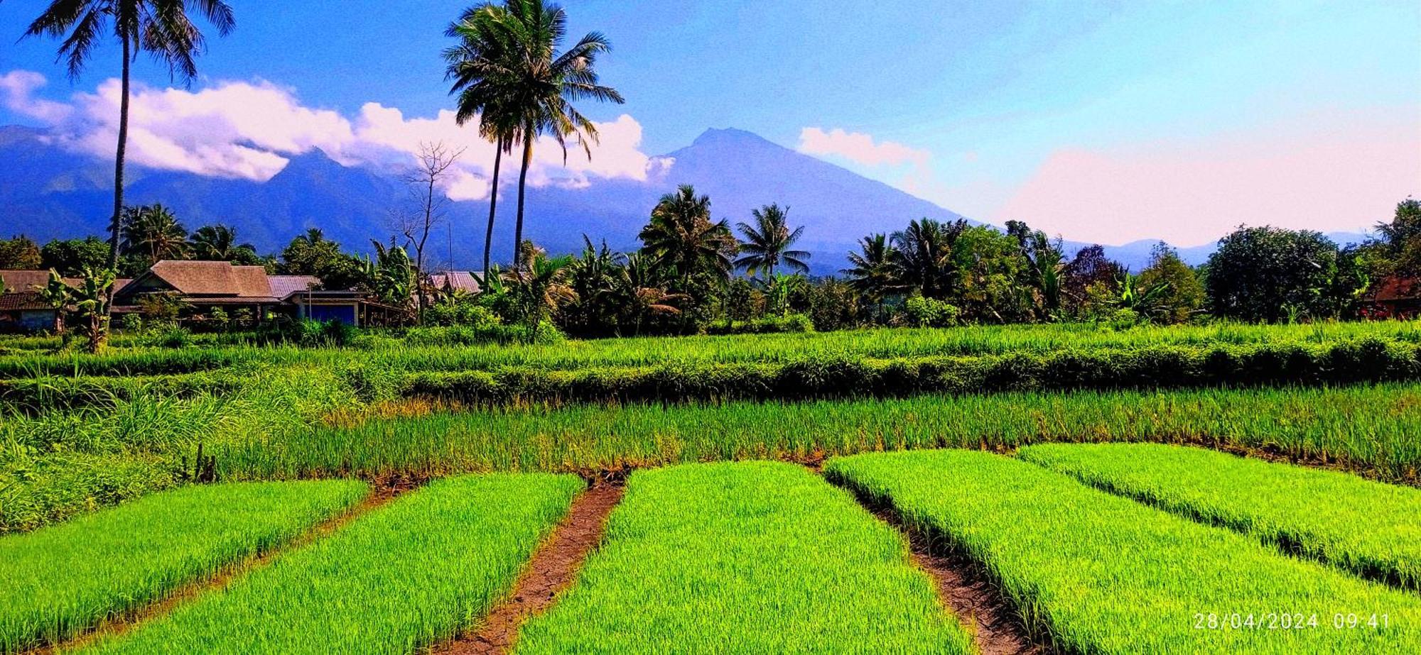 Ariel Bungalow Tetebatu Esterno foto