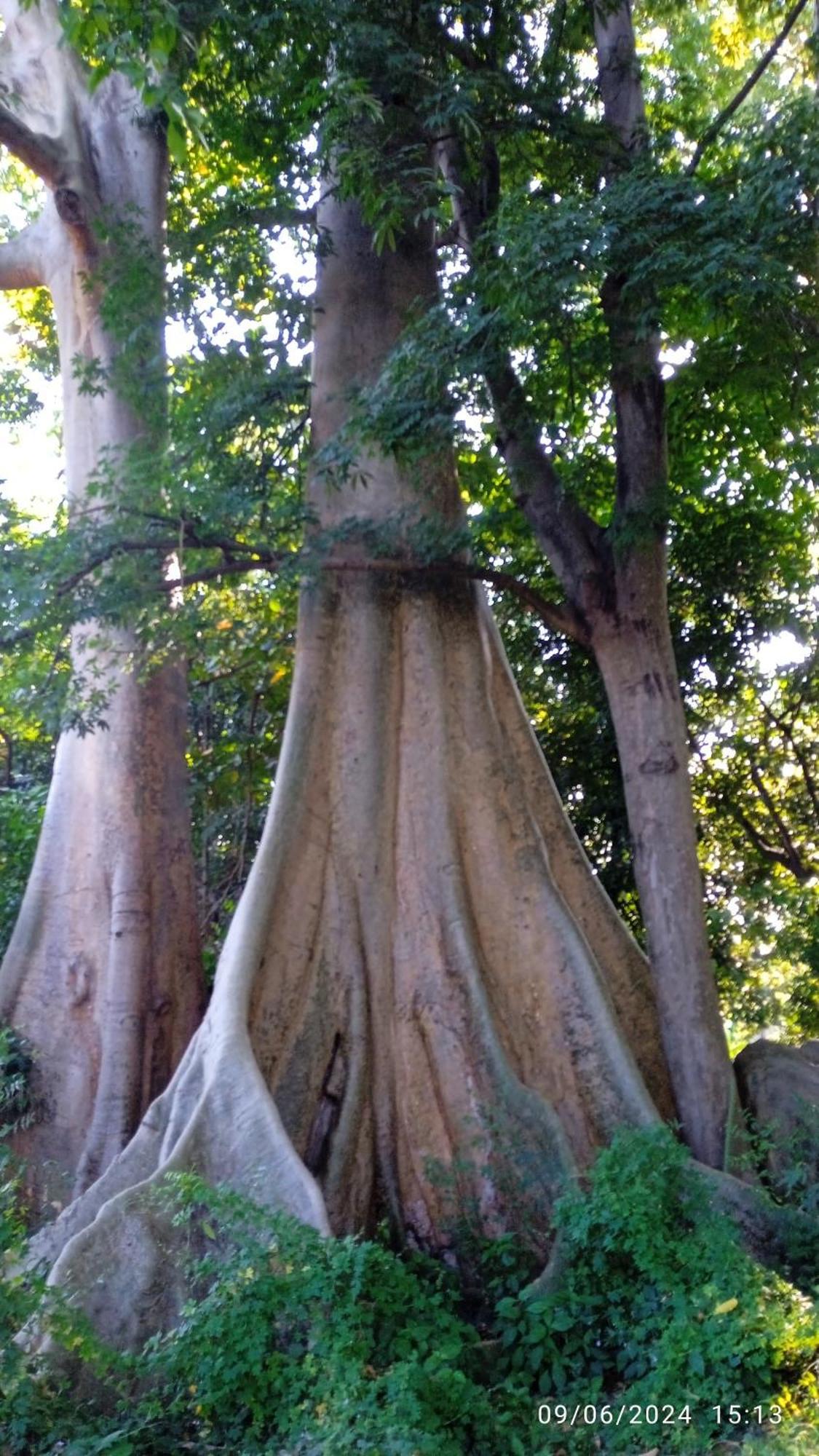 Ariel Bungalow Tetebatu Esterno foto