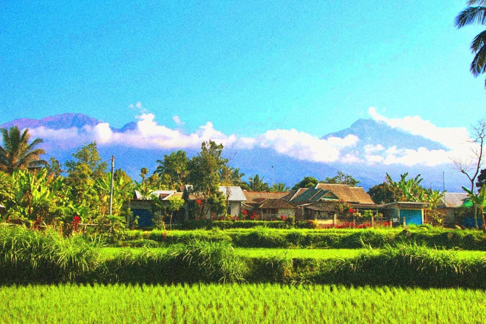 Ariel Bungalow Tetebatu Esterno foto