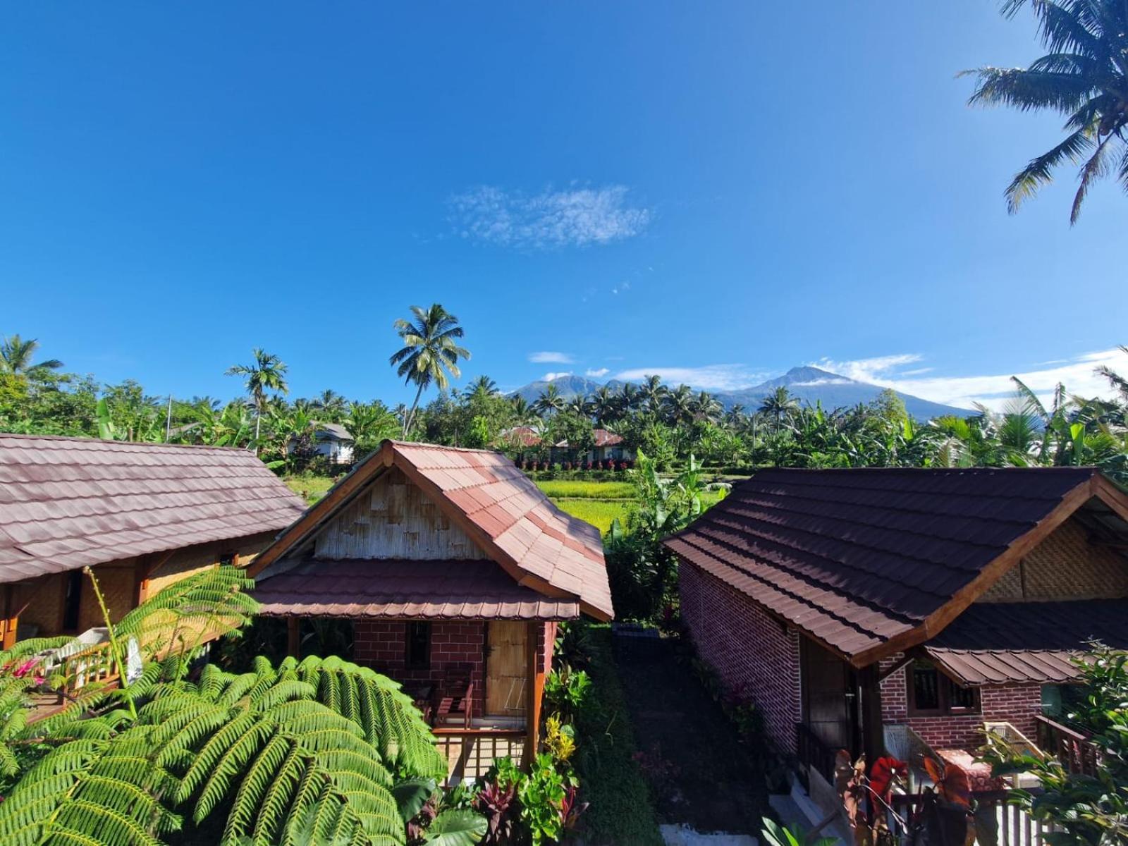 Ariel Bungalow Tetebatu Esterno foto