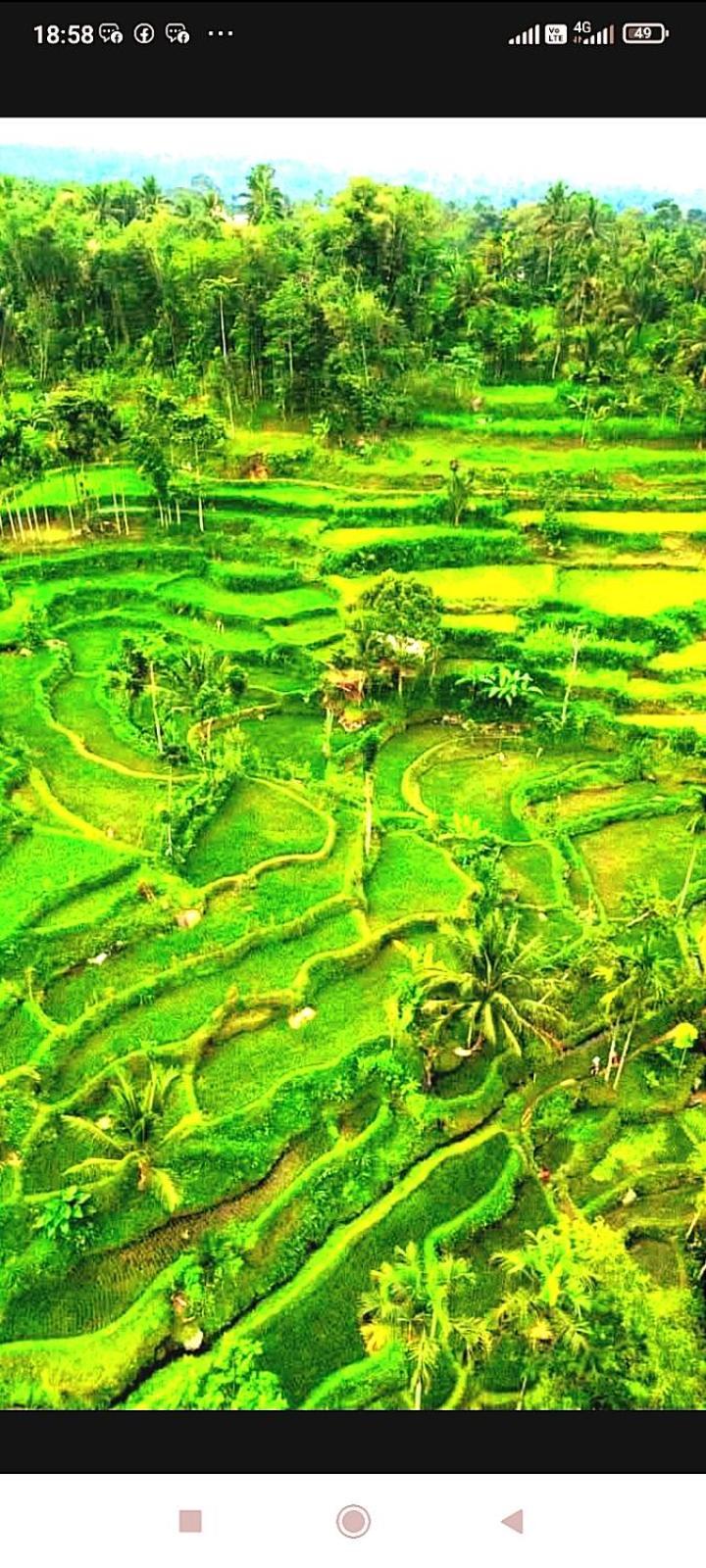 Ariel Bungalow Tetebatu Esterno foto