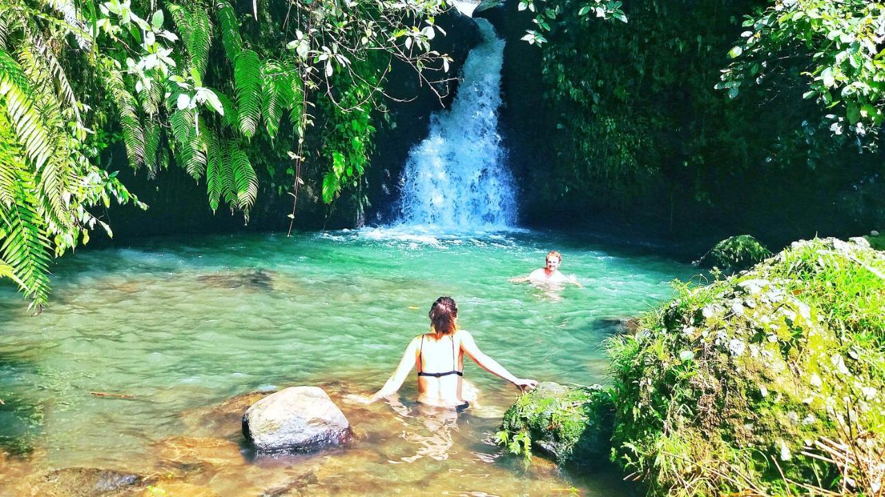 Ariel Bungalow Tetebatu Esterno foto