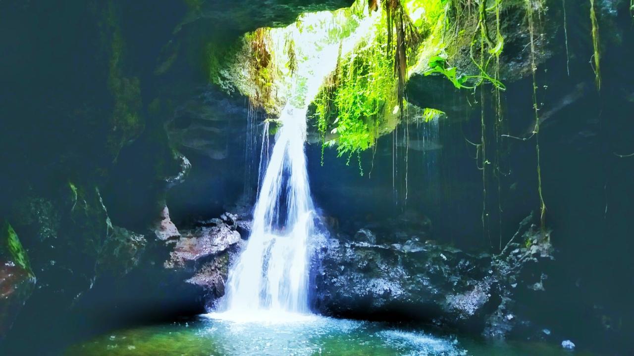 Ariel Bungalow Tetebatu Esterno foto